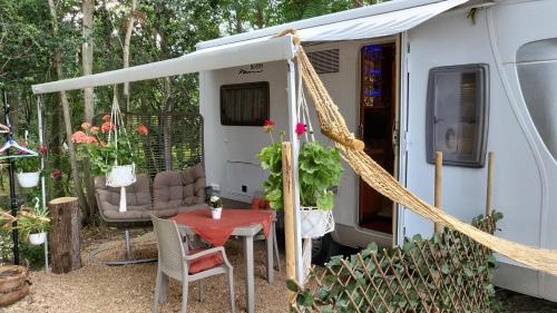 Pecineaga Other | Boho Marine
