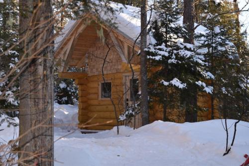 La Baie Other | Bois Rond Expérience