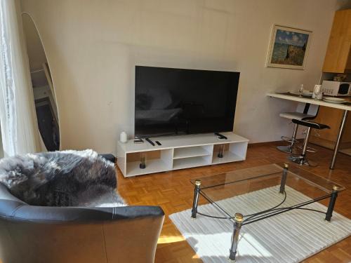 Lausanne Apartment | Bonito apartamento 3