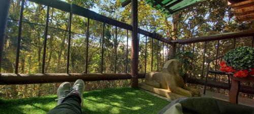Guarne Apartment | Boresta House -Santa Elena con vista al Bosque y terraza privada