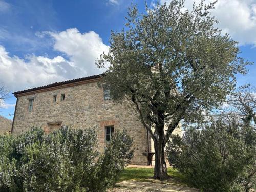 Montone Bed & Breakfast | Borgo Cardaneto