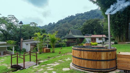 Coscomatepec Hotel | Boscana Forest Resort & Residence