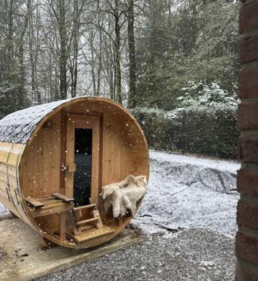 Couvin House | Boshuisje
