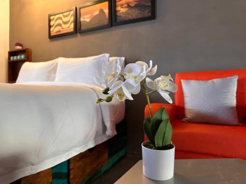 Quetzaltenango Apartment | Brazilian Art - Estacionamiento Grátis & Emisión de Factura