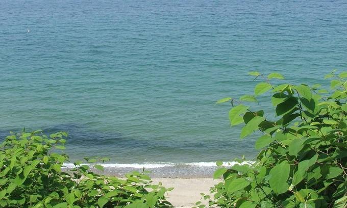 Cedar Bushes Cottage | Breathtaking views of Cape Cod Bay/PTown, High on Manomet Bluffs