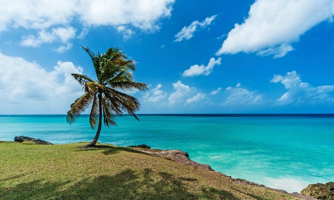 Belair House | Breezy Haven in Barbados, 4 minutes from Crane Beach!