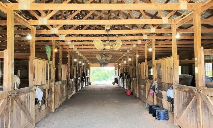 Mohawk Cabin | Briggs Brothers Ranch & Resort