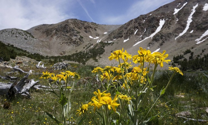Big Pine Hotel | Bristlecone Motel