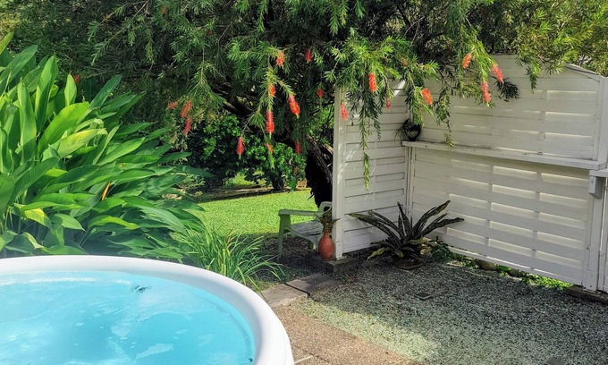 Sainte-Marie Apartment | Bromeliads at Djo and Rosy's