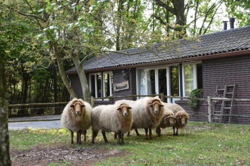 Boxtel House | Buitenuit