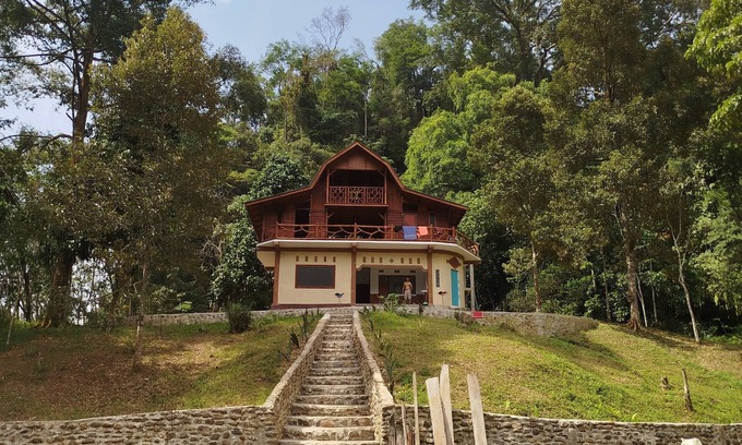Bohorok Bed & Breakfast | Bukit Lawang Wonderful bed & breakfast Rimba House in Batu Kapal North Sumatra