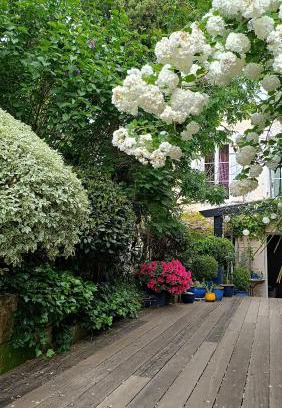 Pons House | Buky Palace