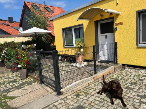 Hasserode House | Bungalow in Wernigerode