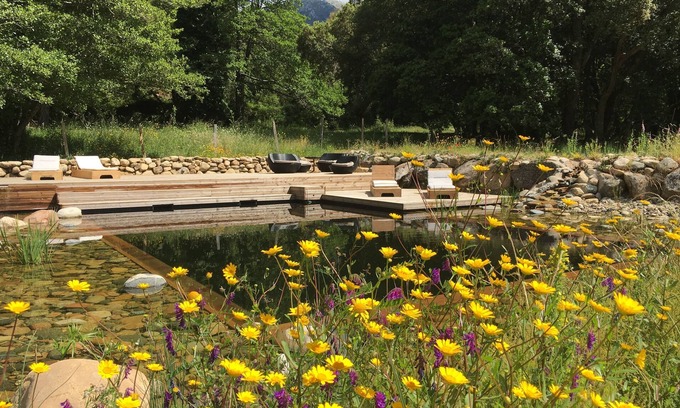 Petreto-Bicchisano House | Bungalows surrounded by nature, natural swimming pool and organic garden