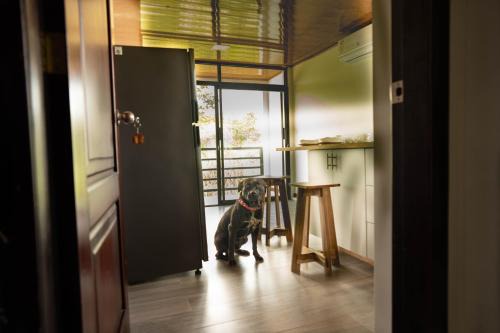 Tena Apartment | Bunker593 Inn