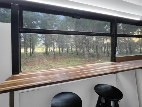 Little River Apartment | Bussie McBusFace, converted bus in Little River