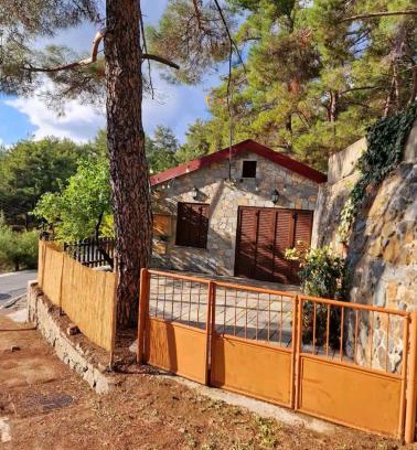 Platres House | Butterfly Home