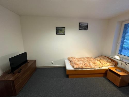 Brumov-Bylnice Apartment | Bydlení v Brumově s.r.o.