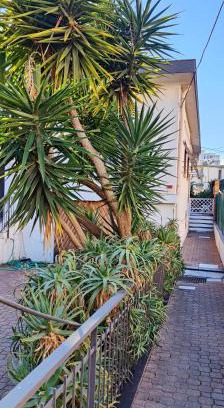 Sanremo House | Ca'del pescatore