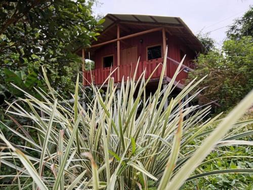 Quebrada La Gamba House | Cabaña En El Bosque
