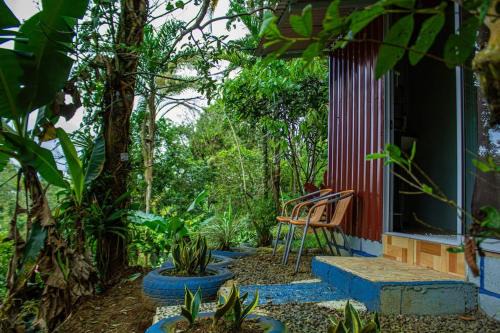 Venecia Apartment | Cabaña en la montaña