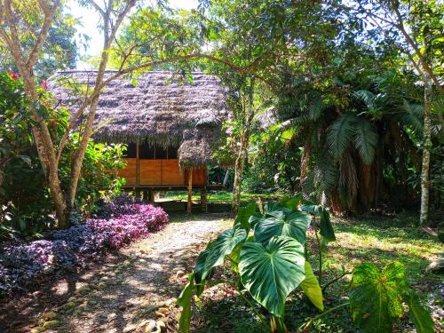 Ahuano Cabin | Cabañas Awana