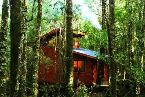 Panguipulli Cabin | Cabañas Bosque Milenario