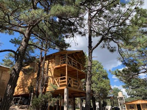 Creel House | Cabañas el Pino 3
