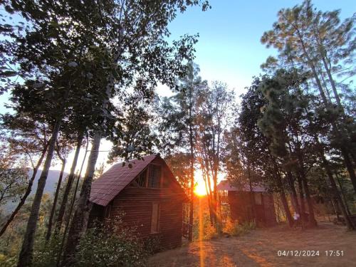 San Jose del Pacifico Ski Chalet | Cabañas en el Bosque de San José del Pacífico 5