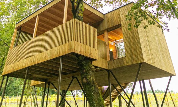 Fraga Other | Cabañas Enoturismo María Manuela