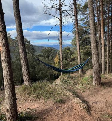 Beguda Ski Chalet | Cabañita de madera en Mas Coguleras
