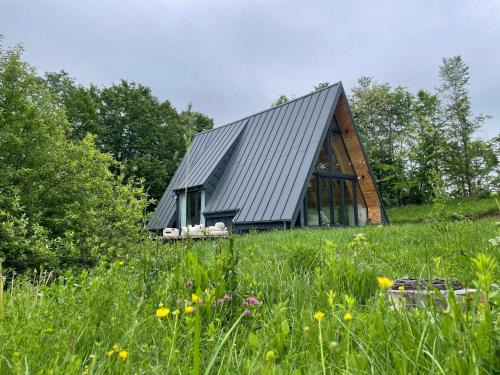 Valea Lunga Cricov Other | Cabana A-frame Cricov 9