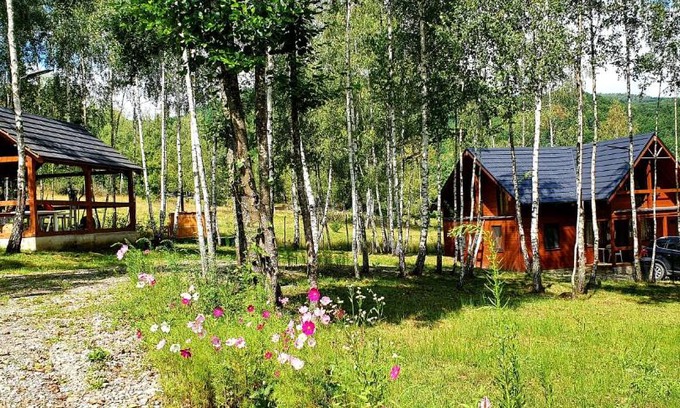 Calinesti House | Cabana cu Mesteceni