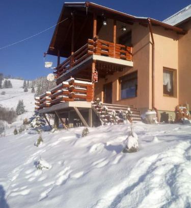 Saru Dornei House | Cabana Gabriel Bucovina