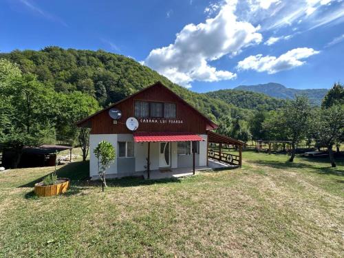 Calugareni House | Cabana lui Foardă