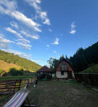 Poiana Vadului House | Cabana MARA
