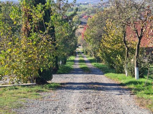 Crasna House | Cabana Torma