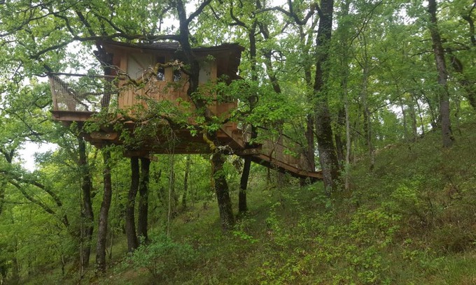 Mechmont Bed & Breakfast | Cabane Dans Les Arbres - La Pagode