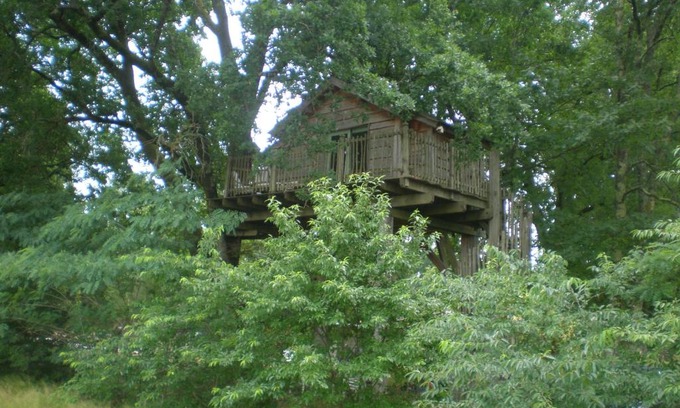 Solferino House | cabane perchée