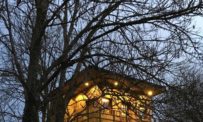 Vert Cabin | Cabane perchee - Sejour au Vert