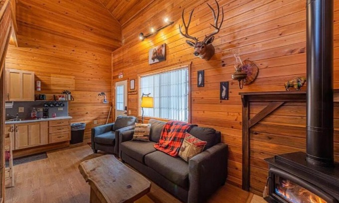 Christopher Creek Ski Chalet | Cabin #1 Buffalo Herd -Pet Friendly - Sleeps 6 - Playground & Game Room