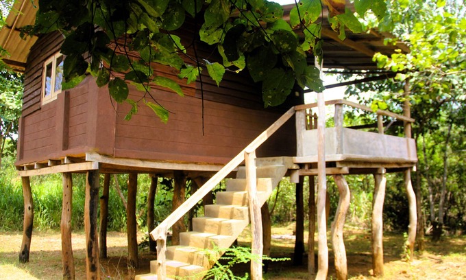 Habarana Cabin | Cabin Air Conditioned - Eagles Wing's GuestHouse