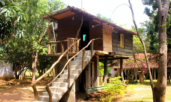 Habarana Cabin | Cabin - Eagles Wing's Guest House