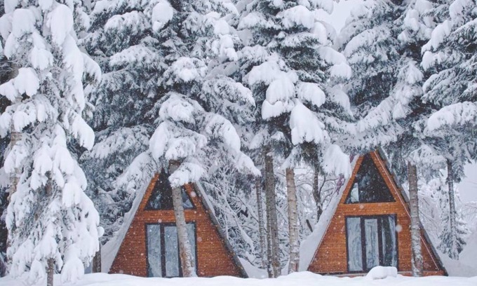 Bagvdanari House | Cabin in the forest, near to ski lift, provide breakfast and dinner