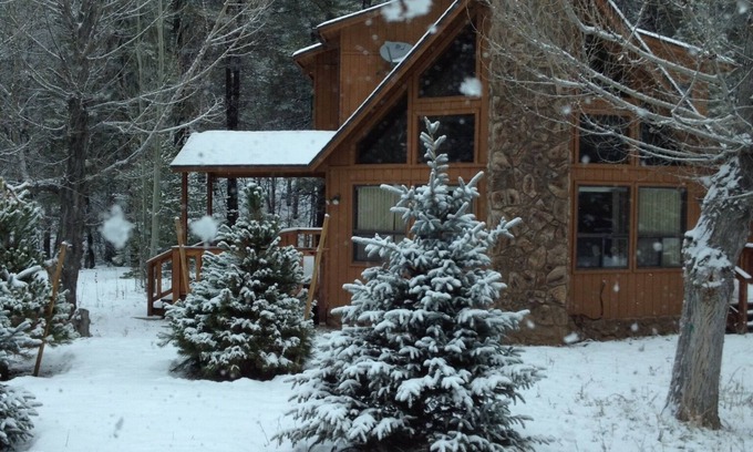 Munds Park House | Cabin in the pines