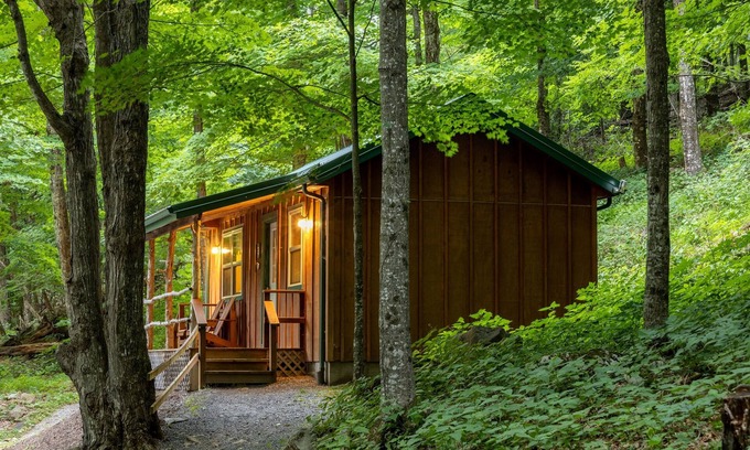 Allegheny Mountains Cabin | Cabin in the woods w/WIFI. >1 mi to Mon. Forest