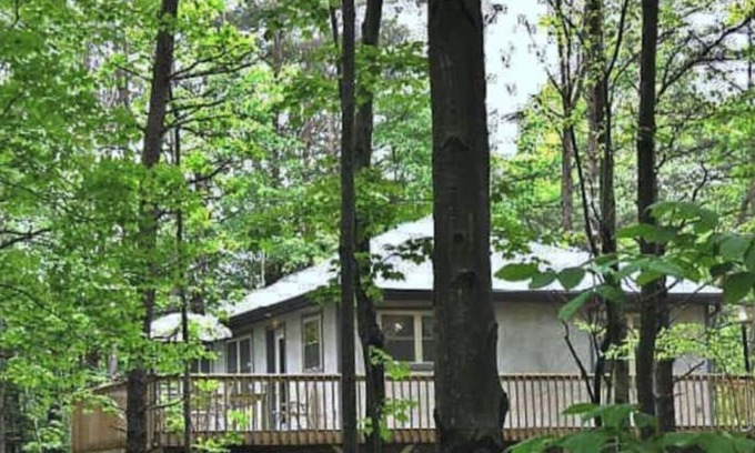 South Bloomingville Cabin | Cabin on wooded ridge, stair-free, 2 bedrm, child & pet friendly,AirBB Superhost