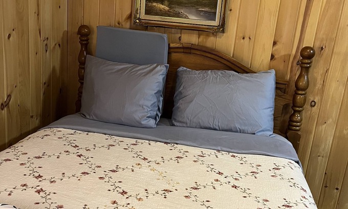 Lansing Apartment | Cabin style near MSU, sparrow, and freeway