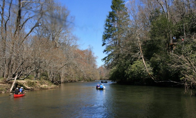 Brevard Cabin | Cabin with two trout rivers onsite. Brevard and Pisgah National Forest close by.
