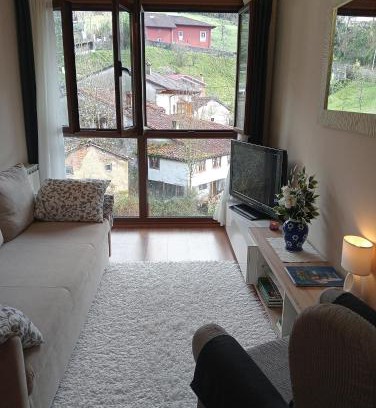 Carrena Apartment | Cabrales Sol